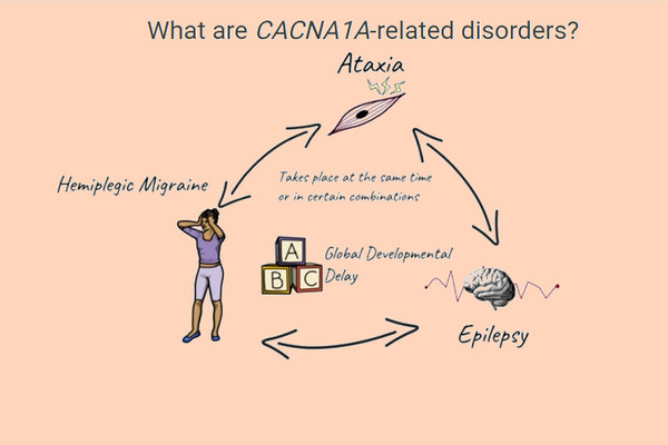 CACNA1A Portal 