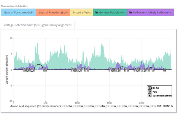 SCN Viewer 